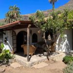 498BE77F-8B0B-4F7D-BC48-0323F4E036B5