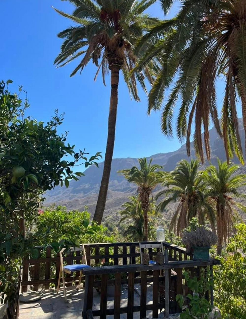 71B8CC0F-6069-475A-8539-FC37D6F838D2