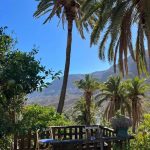 71B8CC0F-6069-475A-8539-FC37D6F838D2