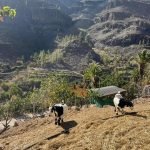 D50FB734-10E4-4418-8D09-D21365F5F418