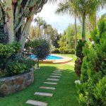 F8CE6D2D-9524-472E-9166-C7A73DB21828