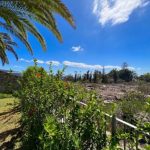 7a78b4d2-bd60-4c8a-80a0-3f9d8659a8e11