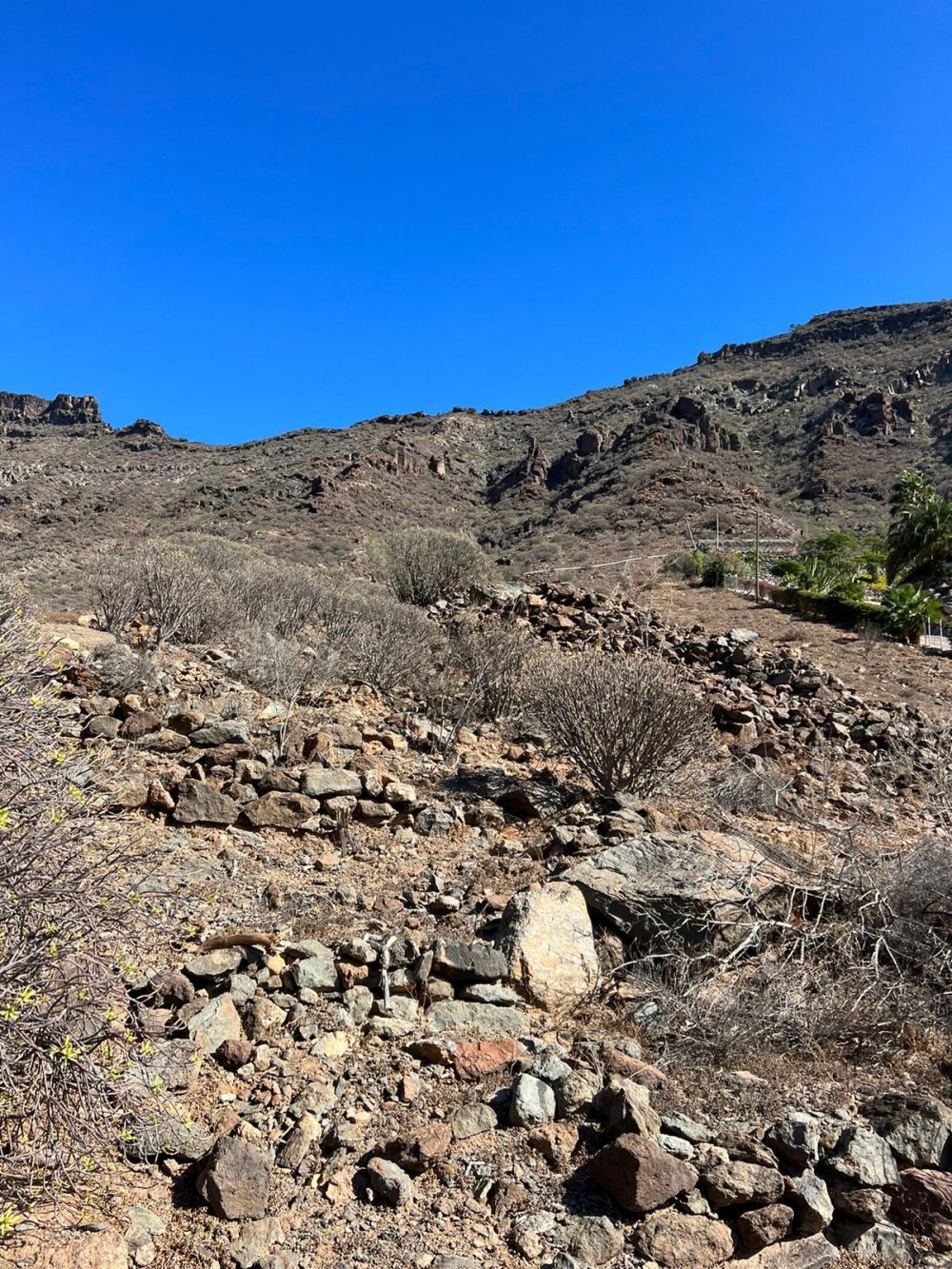 PHOTO-2024-10-01-18-45-04