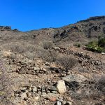 PHOTO-2024-10-01-18-45-04