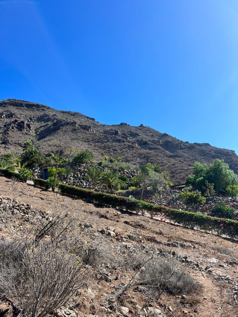 PHOTO-2024-10-01-18-45-04_1