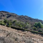 PHOTO-2024-10-01-18-45-04_1