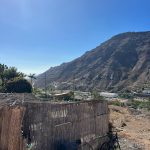 PHOTO-2024-10-01-18-45-05_5