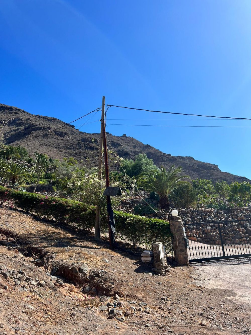 PHOTO-2024-10-01-18-45-05_6