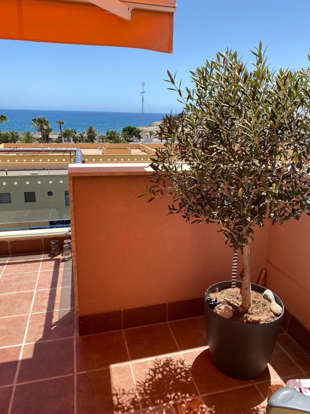 PHOTO-2024-10-03-22-51-53-1