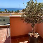 PHOTO-2024-10-03-22-51-53-1