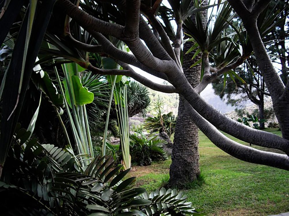 PHOTO-2024-10-03-23-01-36