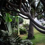 PHOTO-2024-10-03-23-01-36