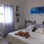 PHOTO-2024-12-04-17-22-30_3